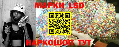 ешки Боровичи