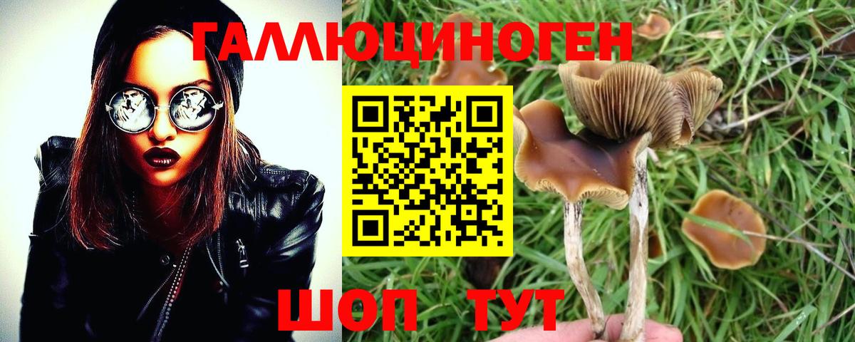 Псилоцибиновые грибы Cubensis  Вход с VPN  Богородицк  Галлюциногенные грибы Cubensis 