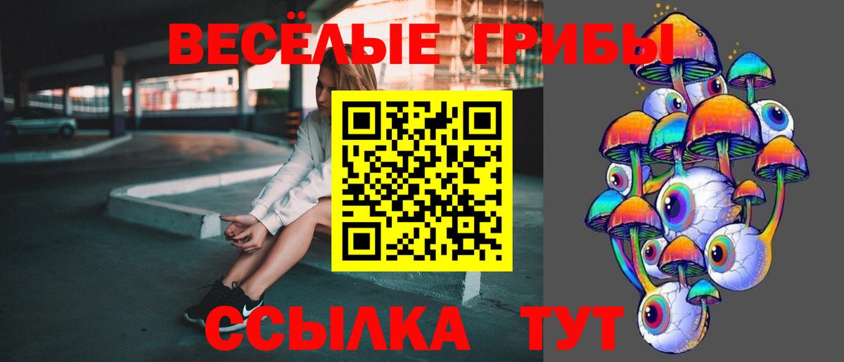 Галлюциногенные грибы GOLDEN TEACHER Богородицк